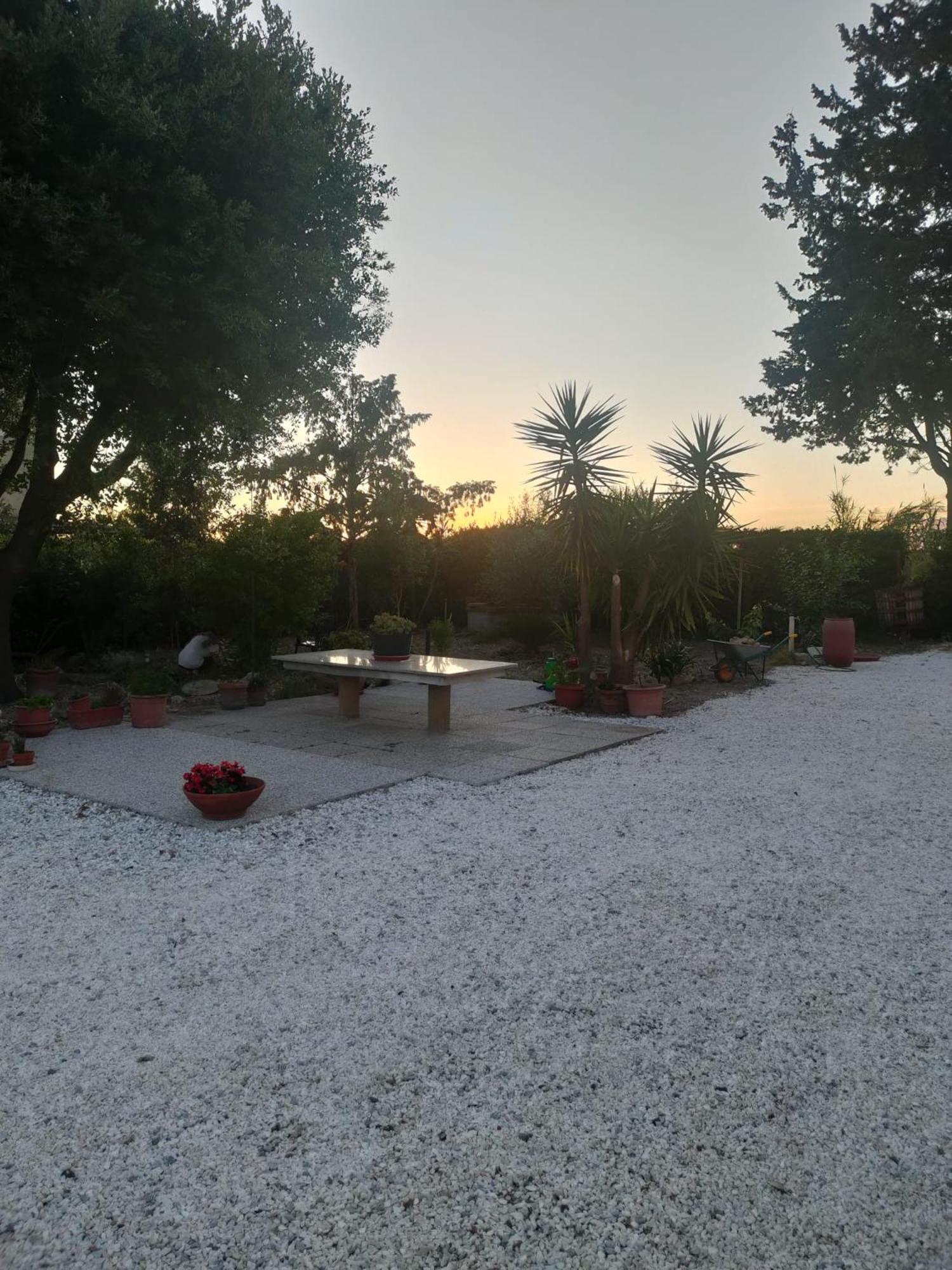 Il Leccio Agriturismo Fiorino Exterior photo