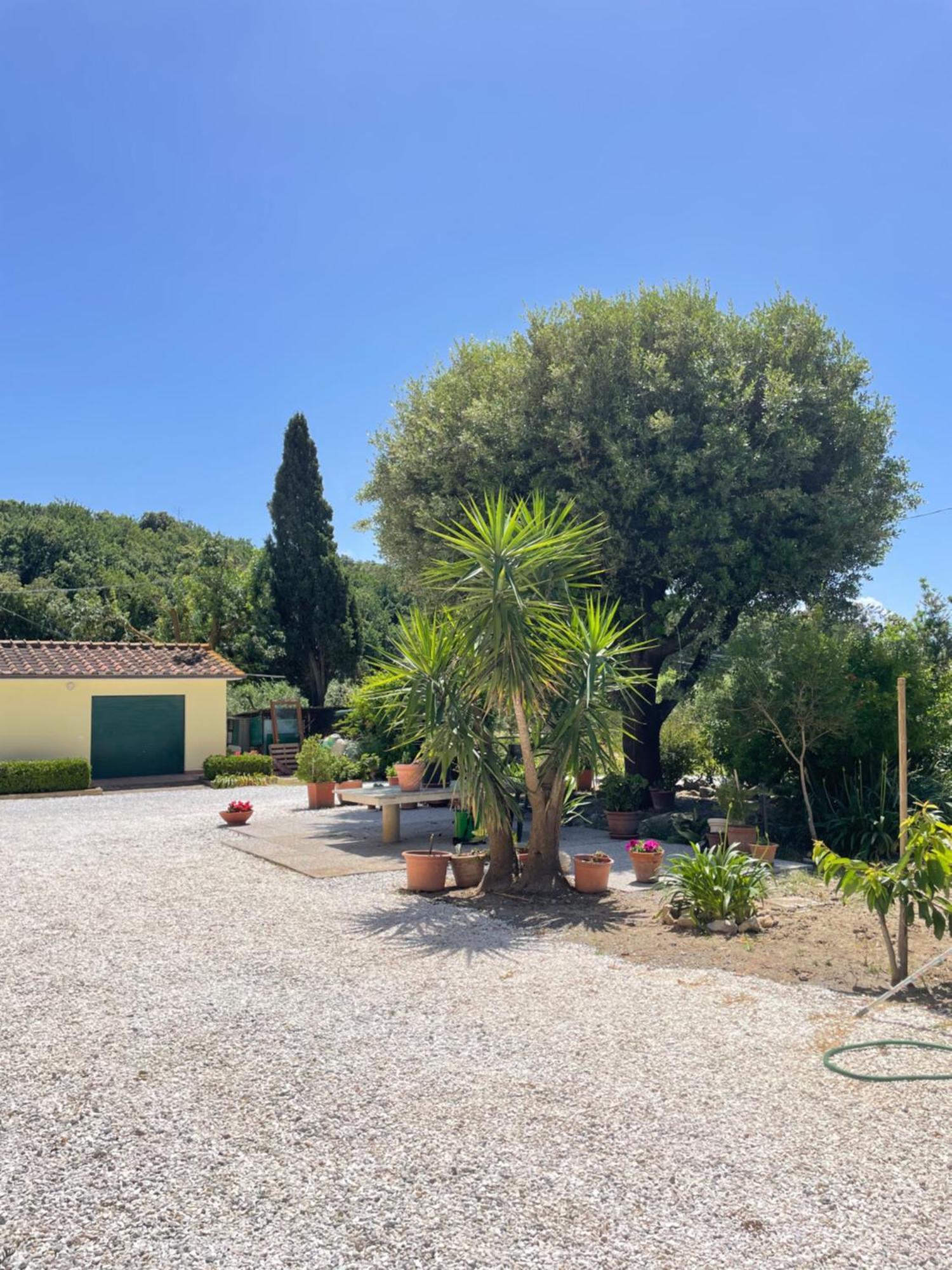 Il Leccio Agriturismo Fiorino Exterior photo